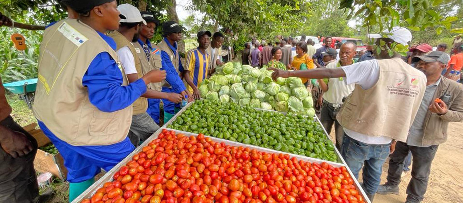 Les participants ont pu récolter  jusque-là 1238 kg tomates, 127 kg de poivrons et  417 kg de choux en attendant que mûrissent le maïs, le soja et les haricots.