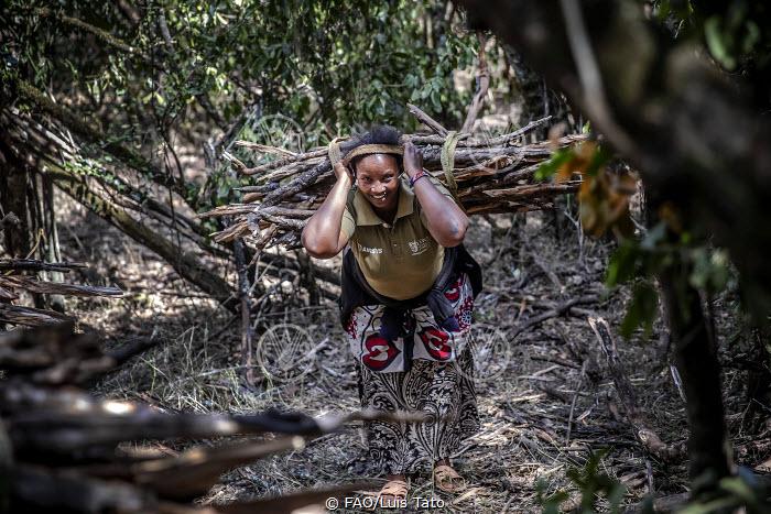 Lokusero, Kenya - une femme du groupe Olingo Lelatia Women Group transporte du bois de chauffage après avoir ramassé avec le groupe dans la forêt de Mukogodo.