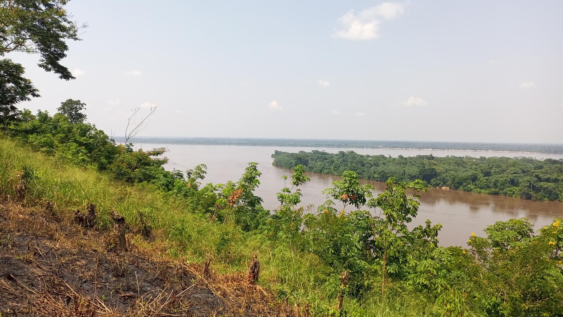 RDC. Juin 2022, sur le littoral du fleuve Congo à Yangambi