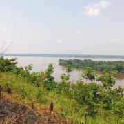 RDC. Juin 2022, sur le littoral du fleuve Congo à Yangambi
