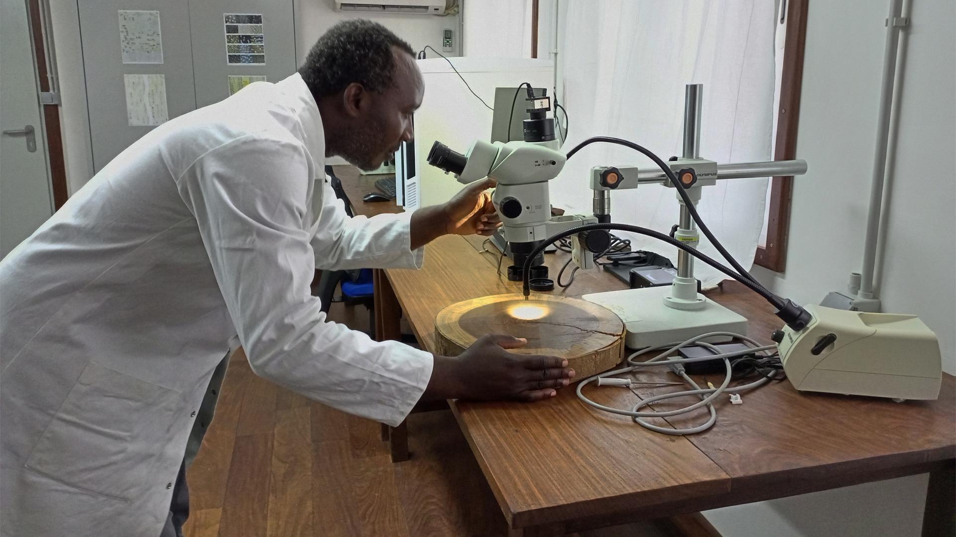 Yangambi 8 juin 2022. Nestor Luambua au Laboratoire de biologie de bois (ph. Journal Karibu)