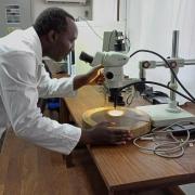 Yangambi 8 juin 2022. Nestor Luambua au Laboratoire de biologie du bois (ph. Journal Karibu)