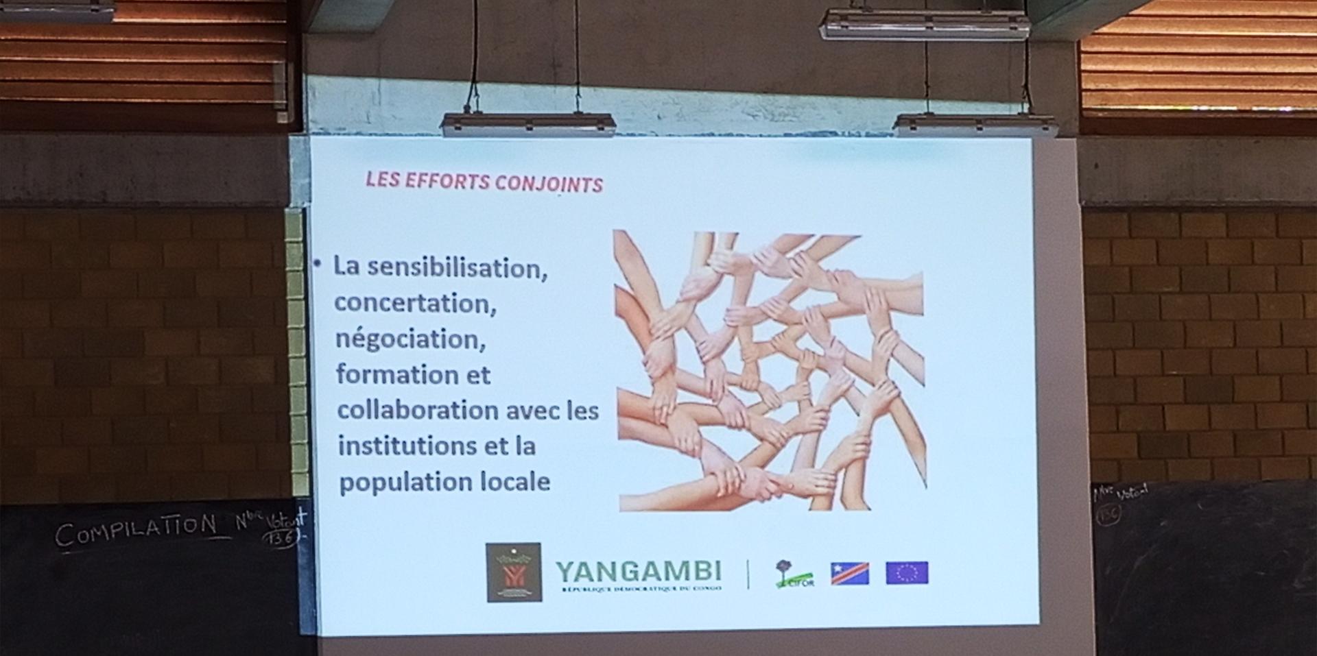 Cifor concertation 16 mai standard size miniature ratio 1